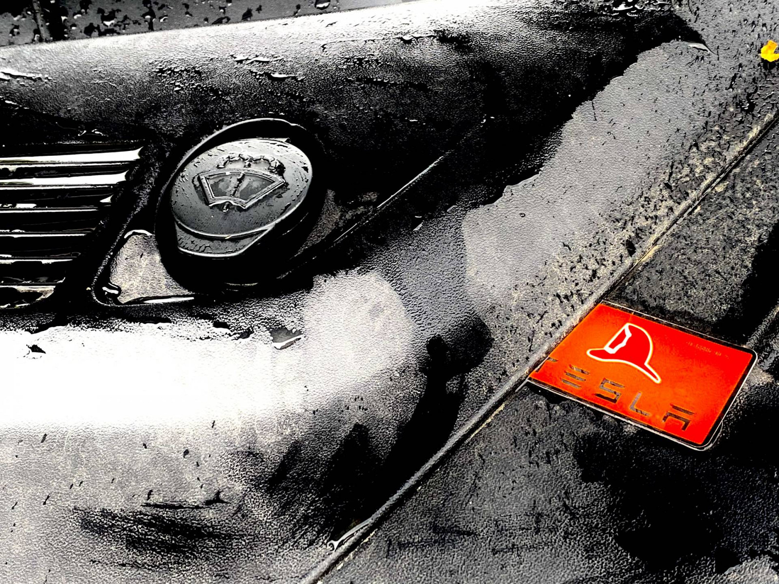 EV-Team Wheels & Deals